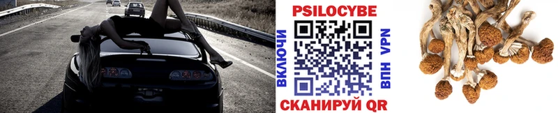 Псилоцибиновые грибы Psilocybe Солнечногорск